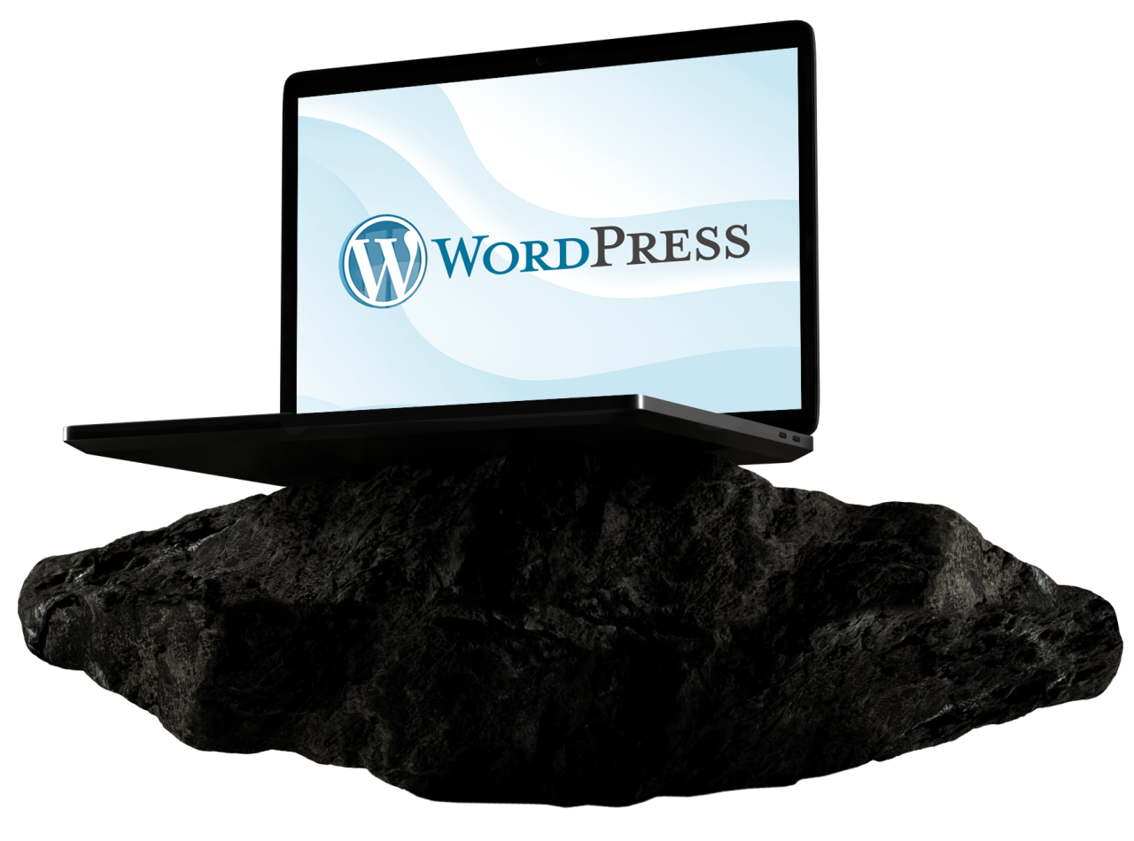WordPress CMS.